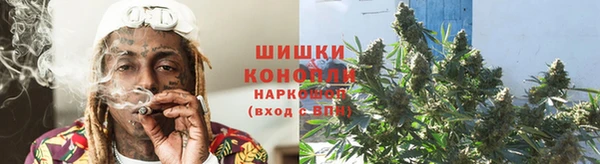 прущие крисы Заводоуковск