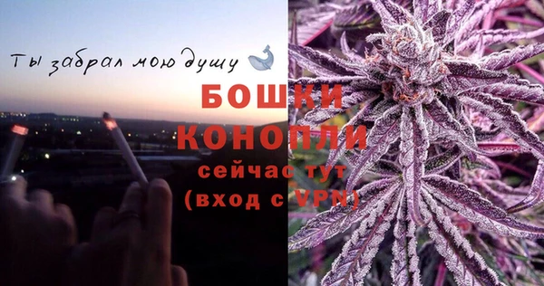 прущие крисы Заводоуковск