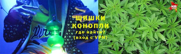 прущие крисы Заводоуковск